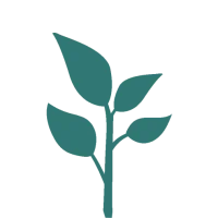L'icone d'une jeune plante verte
